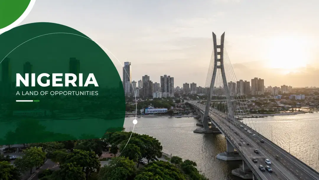 Why Businesses Need LEI in Nigeria
